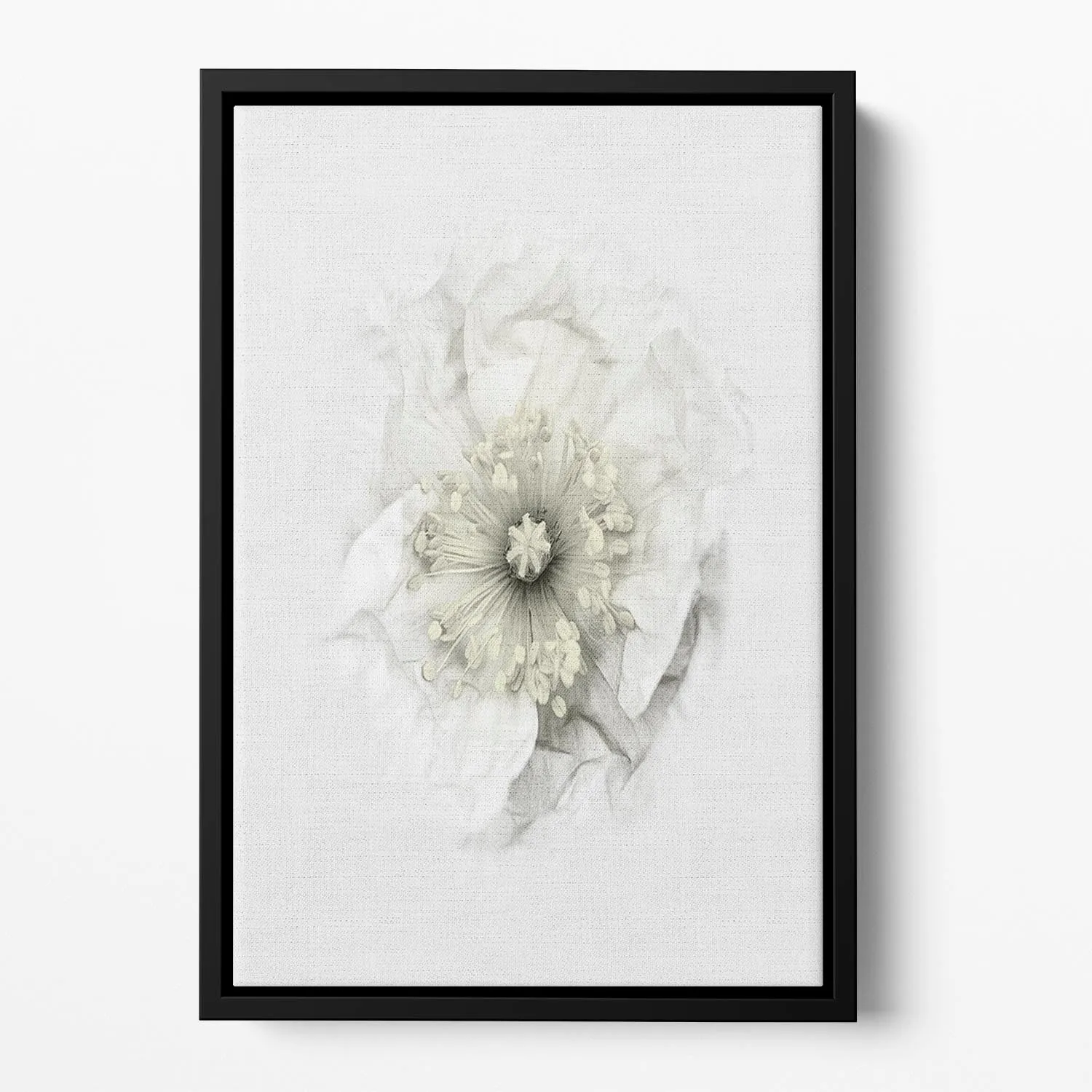 A White Poppy Floating Framed Canvas