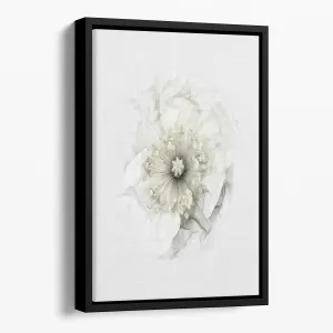 A White Poppy Floating Framed Canvas