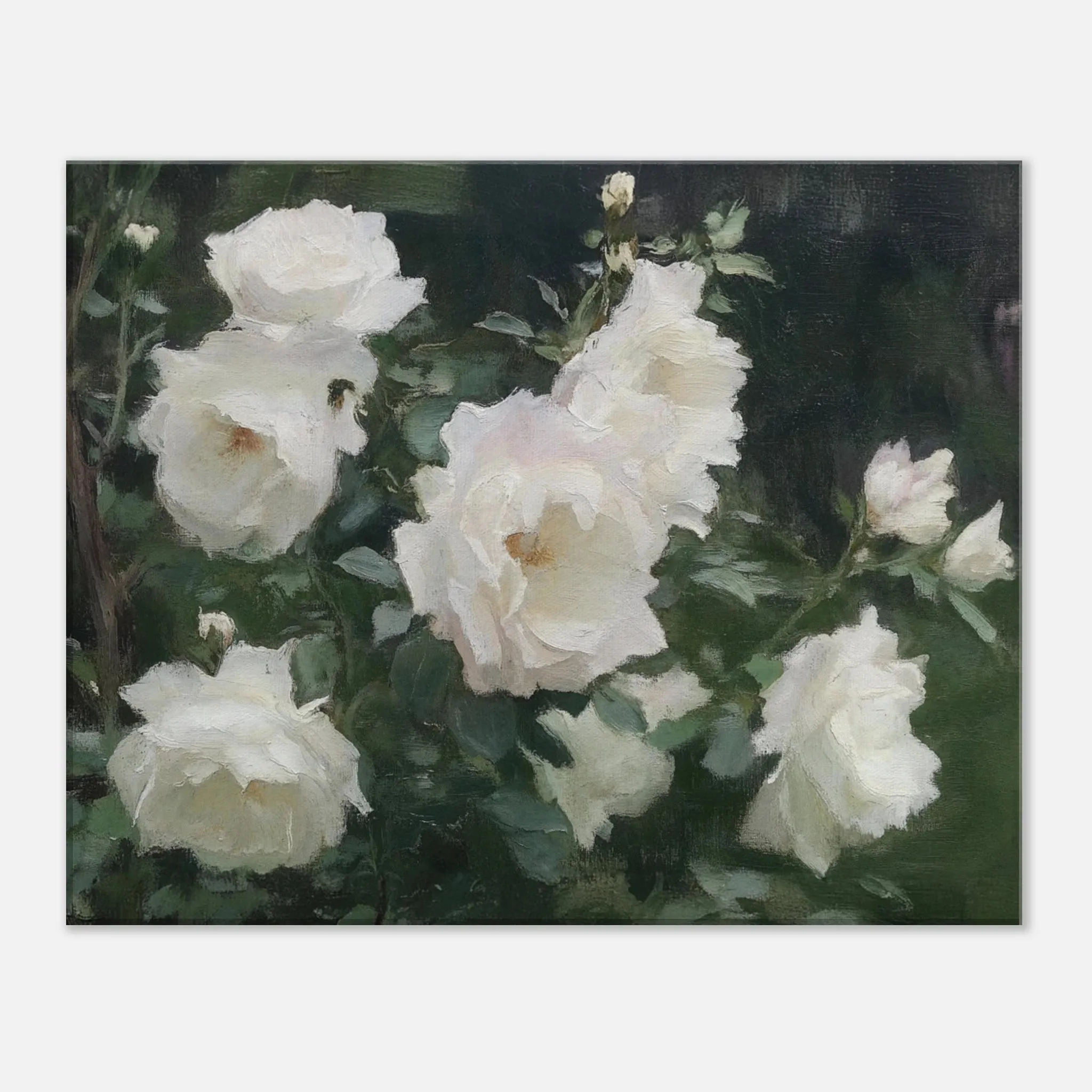 Cream Blooms (Canvas)