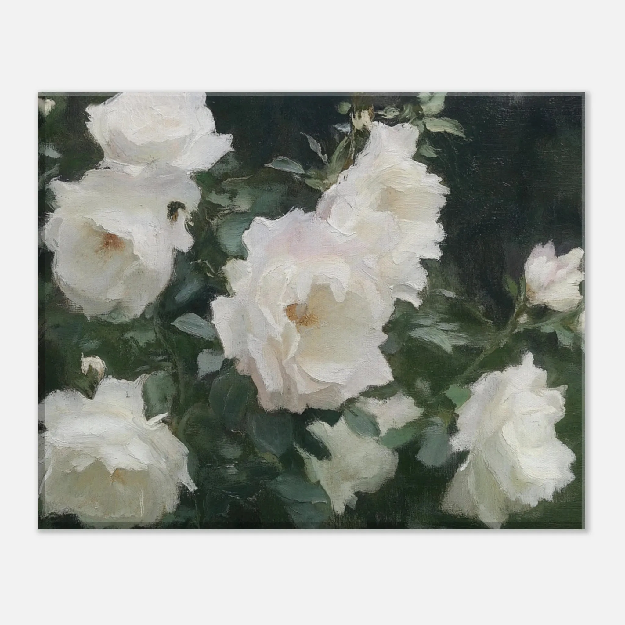 Cream Blooms (Canvas)