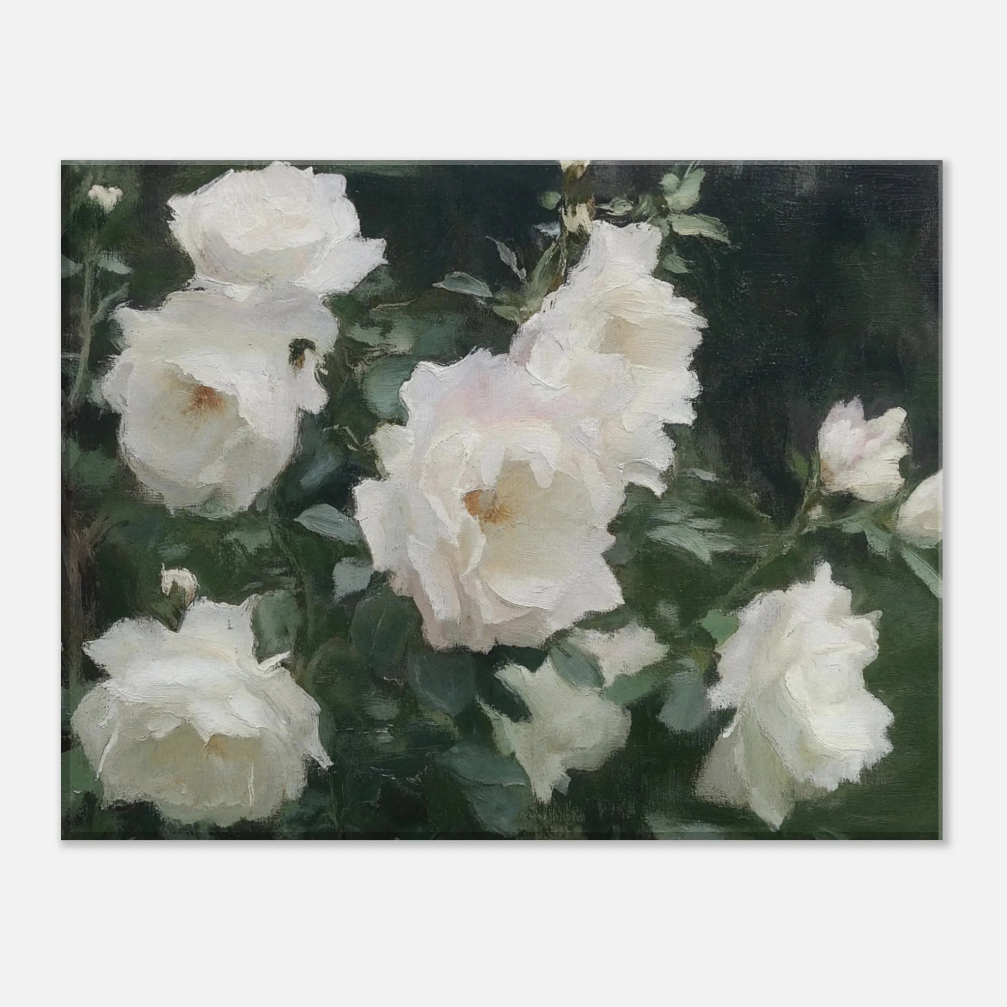 Cream Blooms (Canvas)