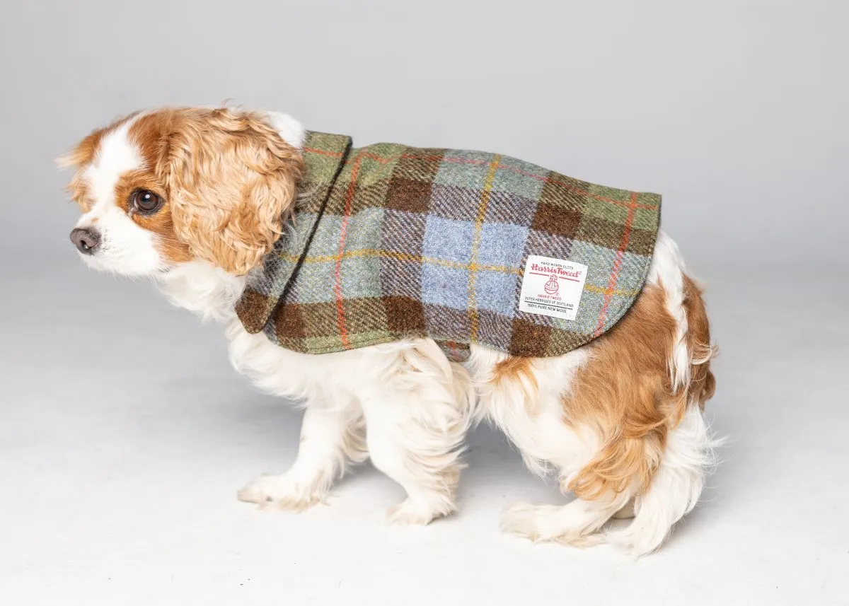 Harris Tweed Dog Coat - Green/Blue Macleod Check