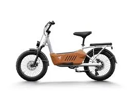 HIMIWAY Cargo Ebike C3