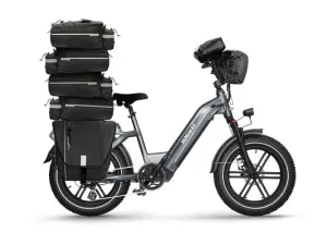 HIMIWAY Electric Cargo Bike Big Dog