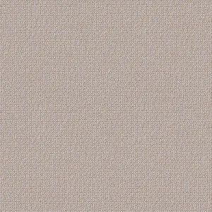 Twisted Tweed - Stucco - 4096 - 06